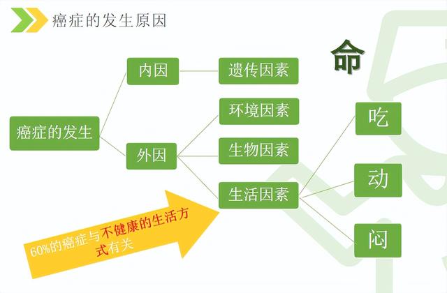 健康問答：從癌癥的發生談癌癥的預防