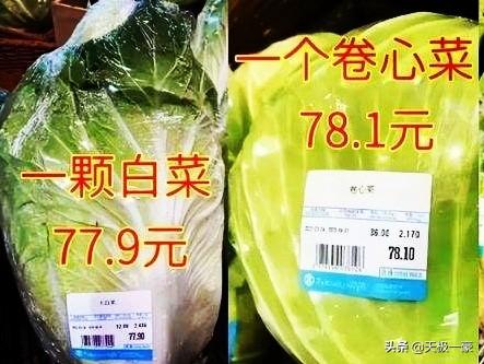 上海未死老人被转运？有人质疑福利院草菅人命，让人后背发凉