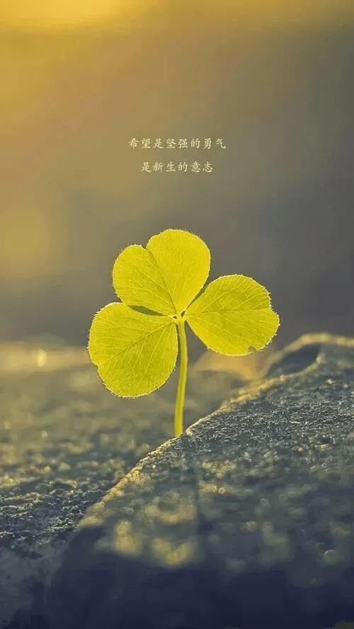 认清现实人际关系 反思吸取血泪教训