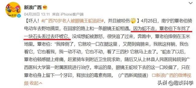扔石头惹怒眼镜王蛇！七旬老伯被追咬，两招捡回一命，医生：万幸