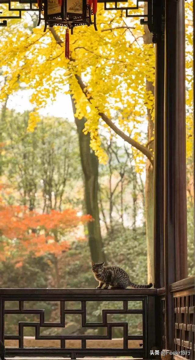 阳春市展裕建筑工程