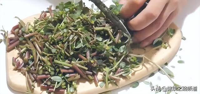 马齿苋加啤酒，对头发特别好，很少有人知道