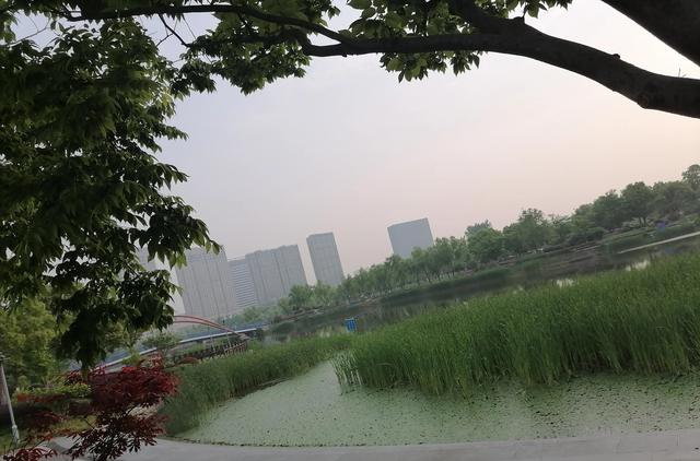 《龙游河畔》