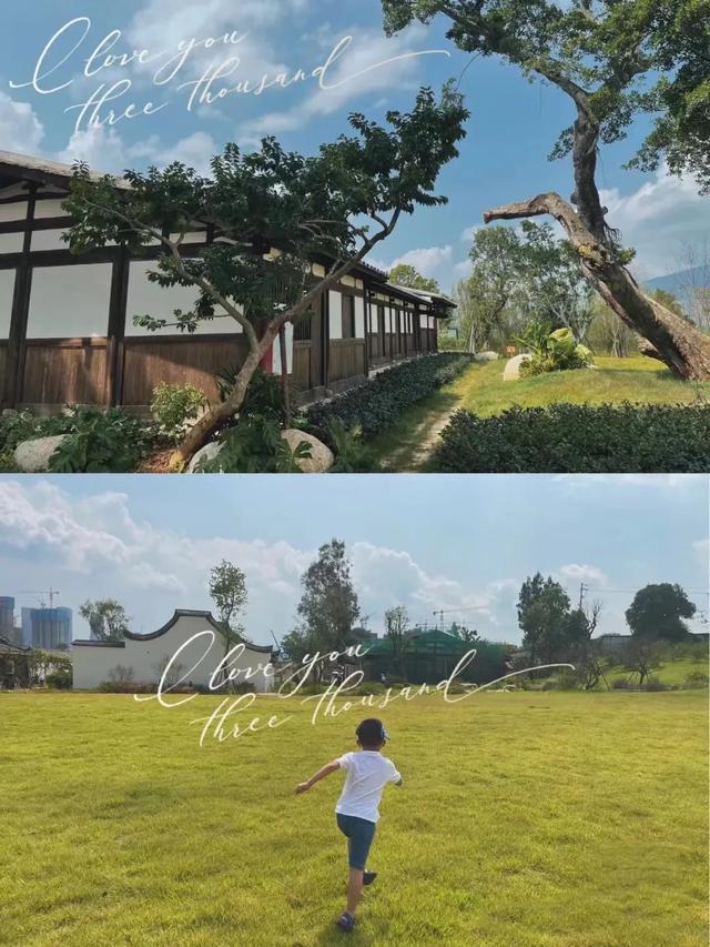 闽清印刷机械展价钱