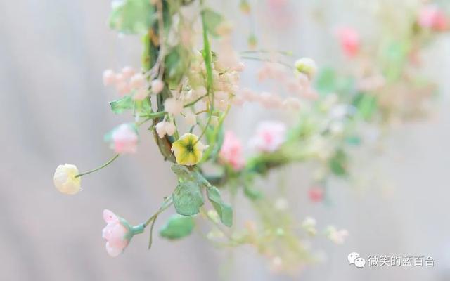 人生至美，意趣在灵魂