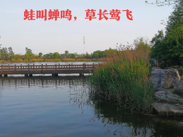 5月5日进入夏季节气--立夏，蛙声蝉鸣，草长莺飞，立夏要注意什么