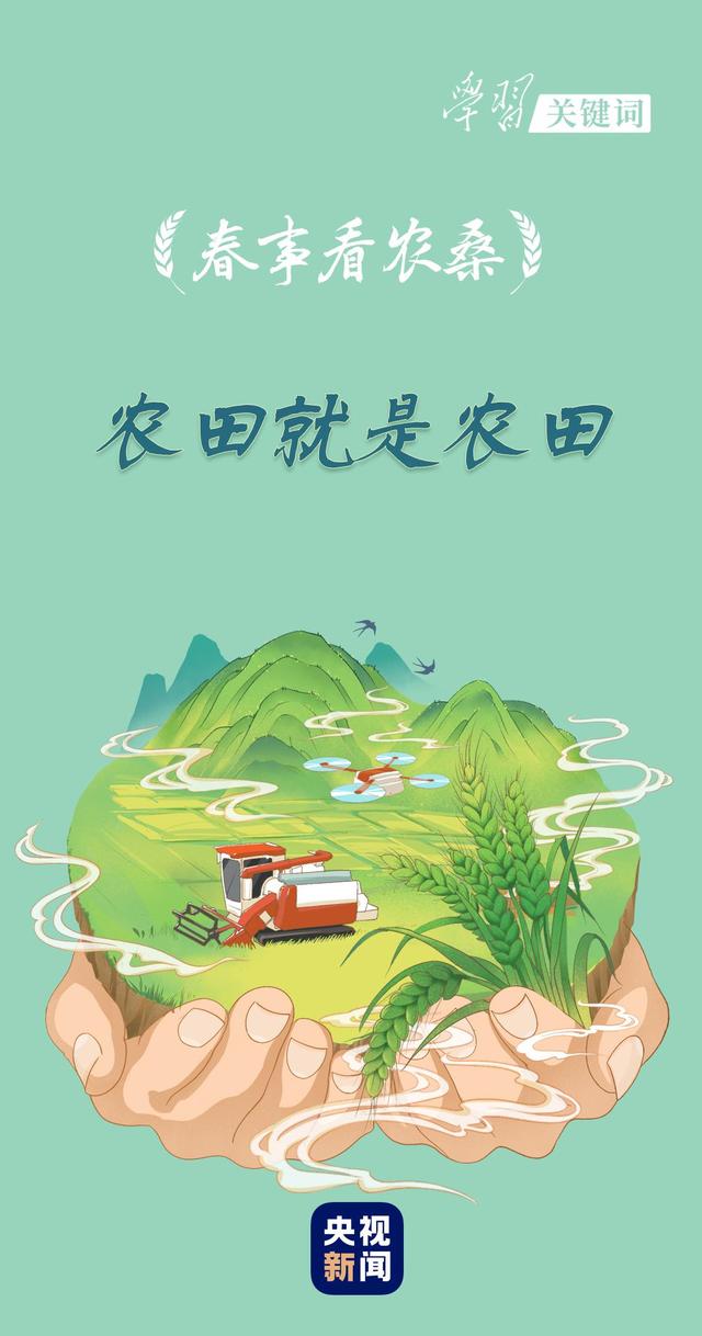 春事看农桑丨农田就是农田
