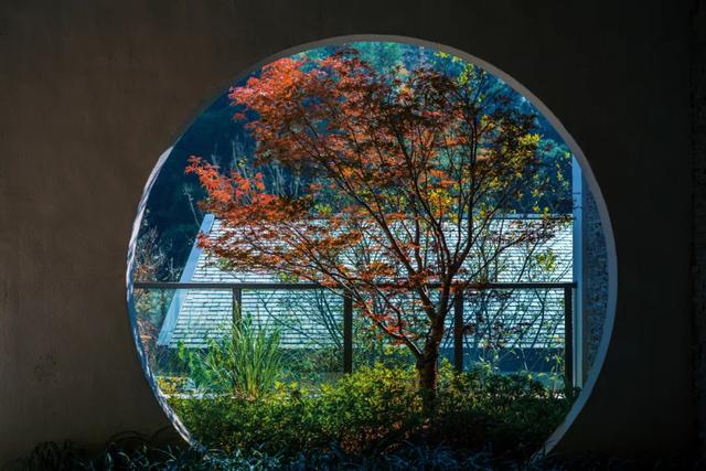 這家酒店的紅葉季，讓我想起了虹夕諾雅京都