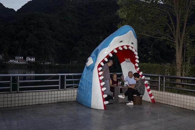 2020第七届苍南矿山机械展