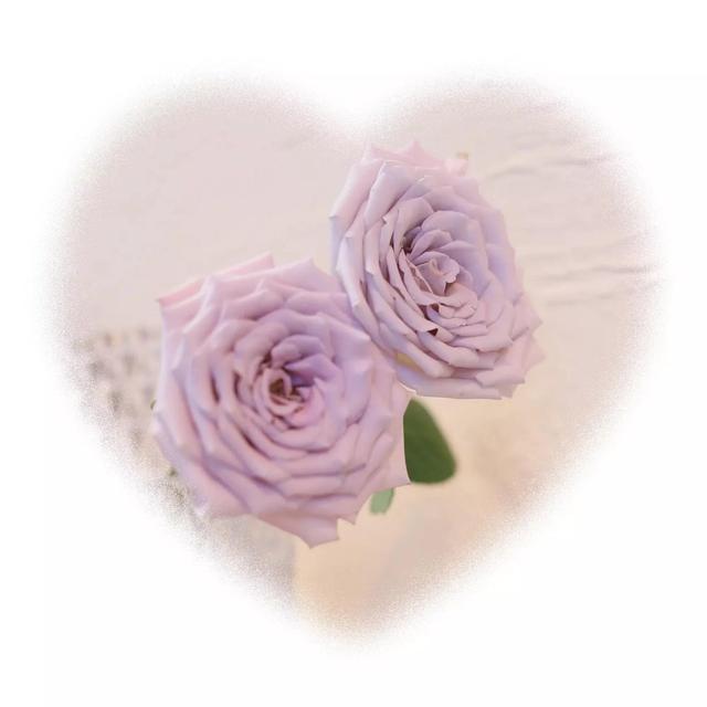 生活需要色调- 全网搜