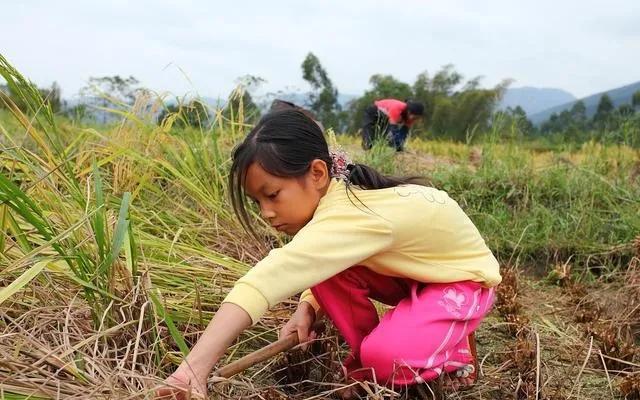 三孩政策内卷袭来，农村的你还敢再多生吗？