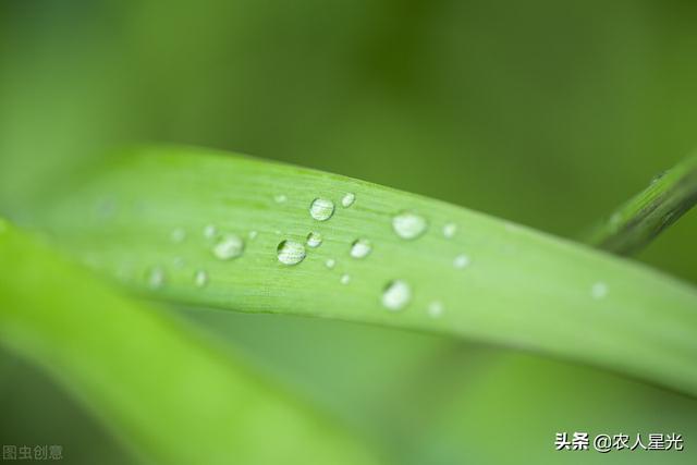 天气预报：今天(20日)谷雨，如果天下雨，会有什么预兆？农谚咋说