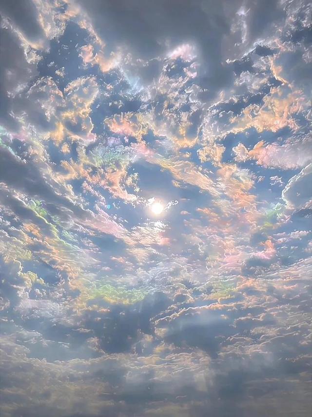 春天没有方向，春天只顾开花