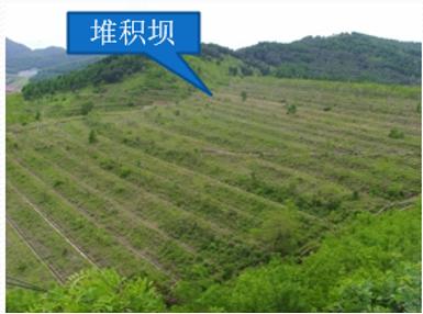 尾矿坝筑坝形式包括