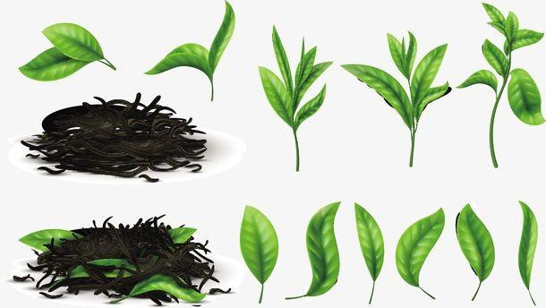 春季饮茶好处多，不同体质的人，应该喝不同的茶，希望你没喝错