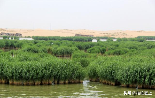 甯夏人文之明朝那點事56：沙湖，也曾經曆過烽火狼煙和金戈鐵馬