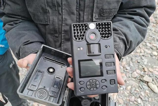 粤港澳VS旧金山，两大湾区的“龟兔赛跑”