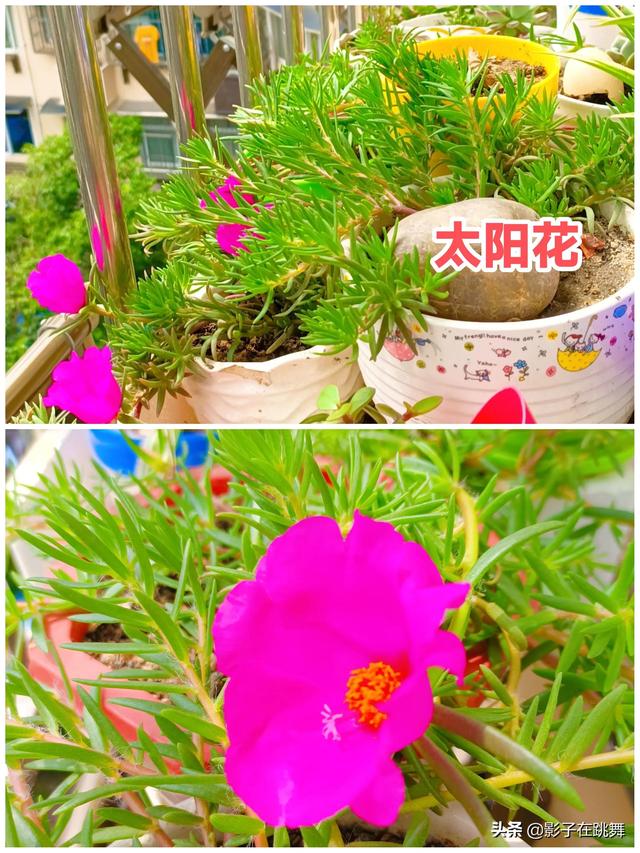 人生有闲情，岁月不荒凉