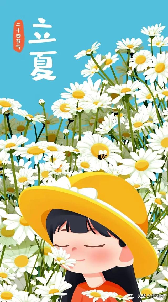 夏天的声音