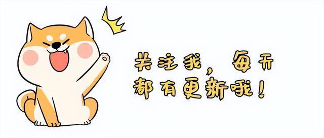 医疗、白酒、新能源以及半导体等板块分析