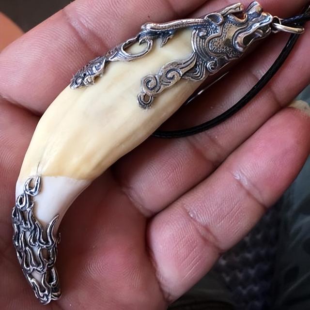 穿山甲鳞片佩戴忌讳(动物骨头类的文玩有哪些)