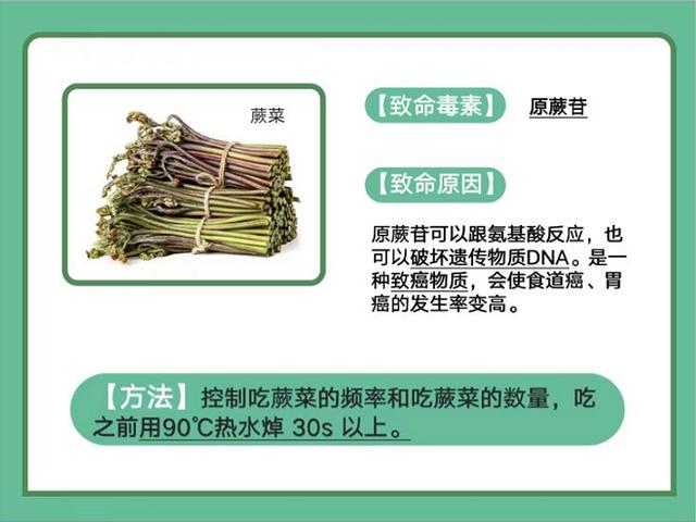 越新鲜越有毒！这几种应季蔬菜，不要给孩子乱吃
