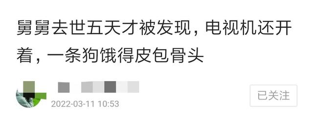 [云转发自动跟踪转发]，如何制作一条爆款推文