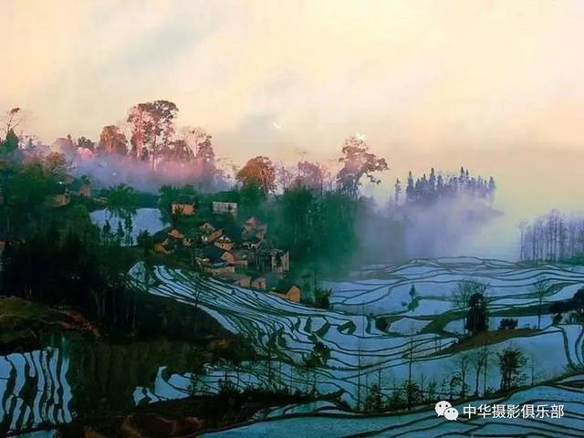 太美了！金奖摄影作品欣赏——