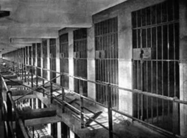 1943年张思信等人残忍杀害毛泽民，建国后被捕，毛主席才得知真相