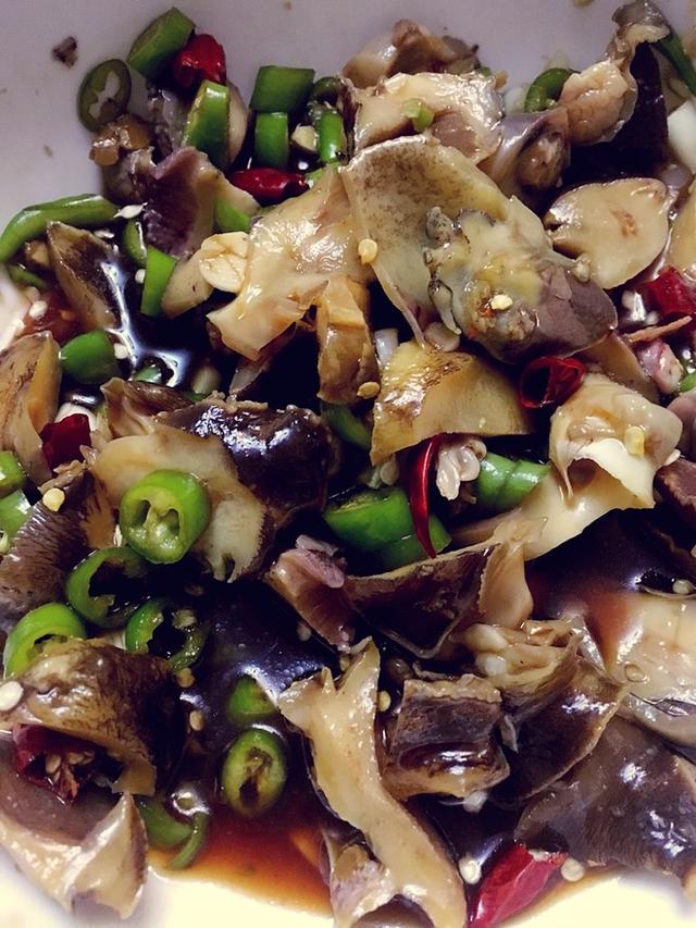 什么是田螺下的卵？小田螺的卵长什么样，快速阅读此文