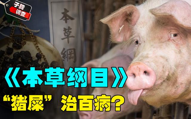 “猪屎”治百病？《本草纲目》中细思极恐的细节，真的是科学吗？