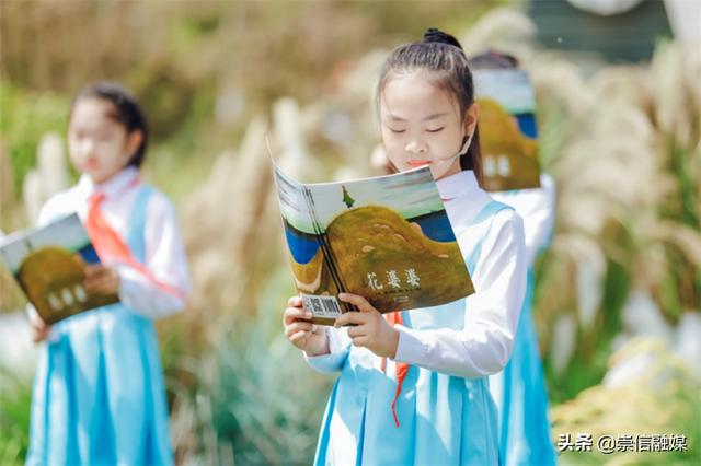 赏一片花海，读一本好书，这个“花园书房”太美妙了！
