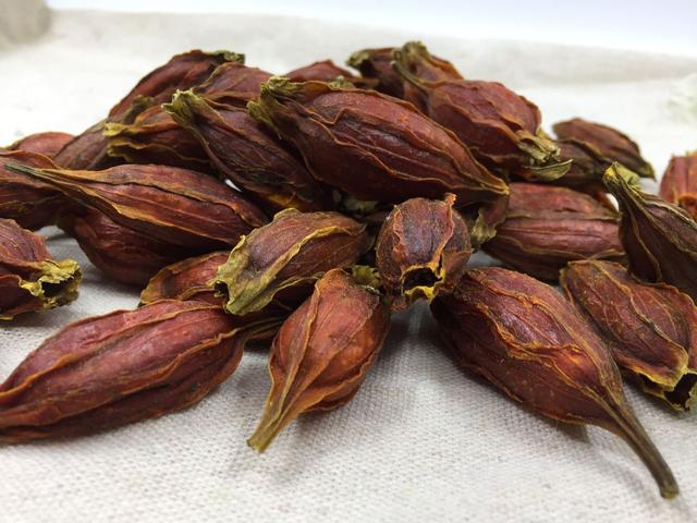 上火？牙龈肿痛、口唇干燥，中医送你一味栀子全都搞定