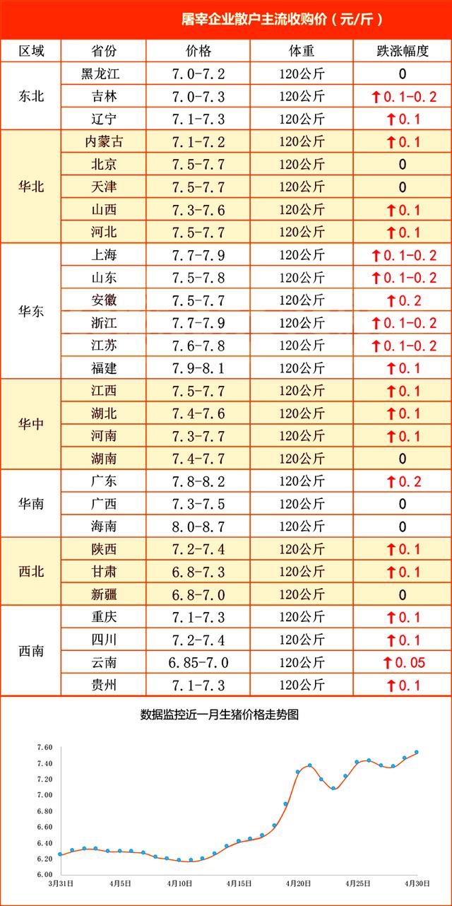猪价“插翅上扬”，散户挺价猪企出栏，谁给谁做嫁衣？5月1日猪价