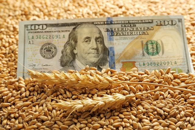 撑不住了！2月27日玉米、小麦“暴力拉升”，2022年粮价势不可挡