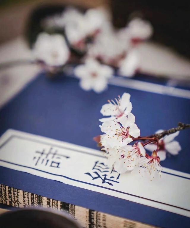 散文：人间四月，有情可寄，赏心悦目，有爱可期，安然静好