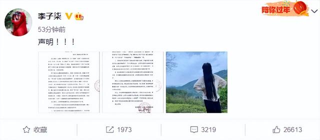 停更290天的李子柒，已被迫改名？李子柒最新发声