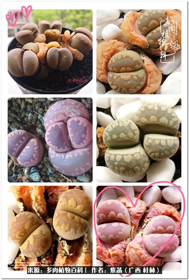 广西河沙洗砂机