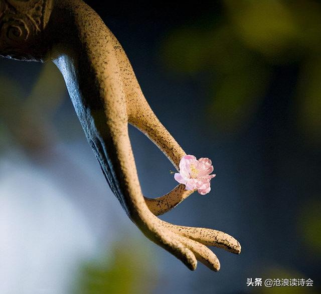三联洗砂机多少钱