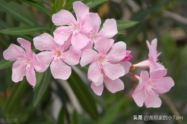 散文：断舍离是真正的快乐还是自欺欺人