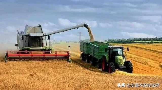 新冠死亡人数高达99万，美国却非常淡定，为什么其他国家做不到？