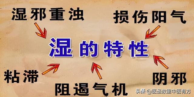 张仲景万能健脾祛湿经典方，苓桂术甘汤，四味药，健脾除湿除百病