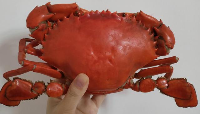 怀孕可以吃螃蟹吗？