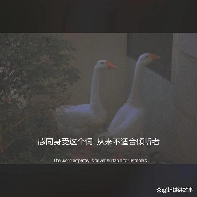 那些平平淡淡却虐到骨子里的话