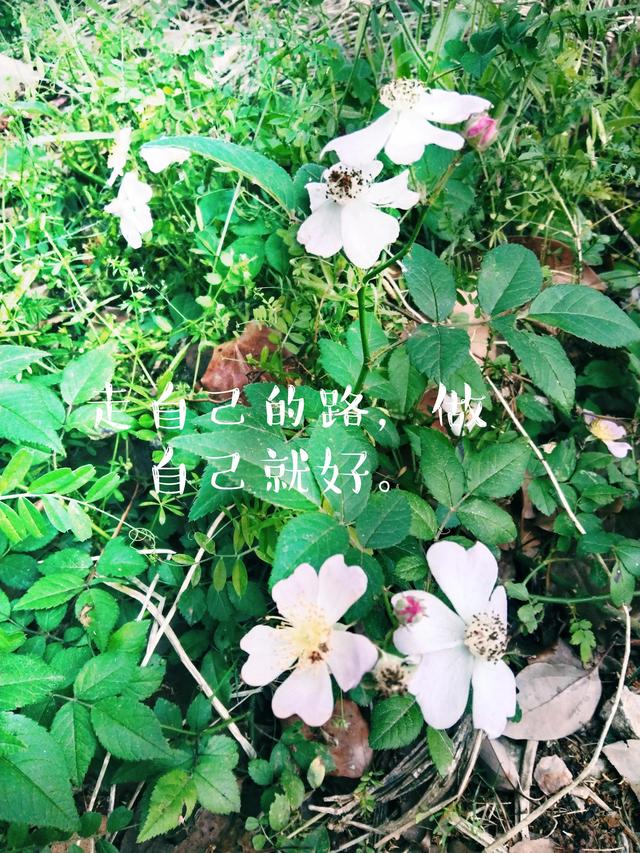 调整心态-改变自己