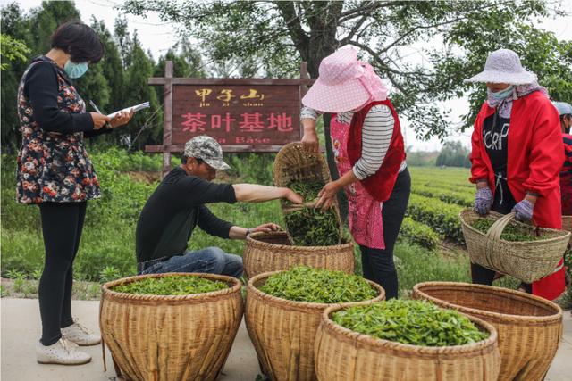 自在榮成旅行篇：甯靜悠然慢生活