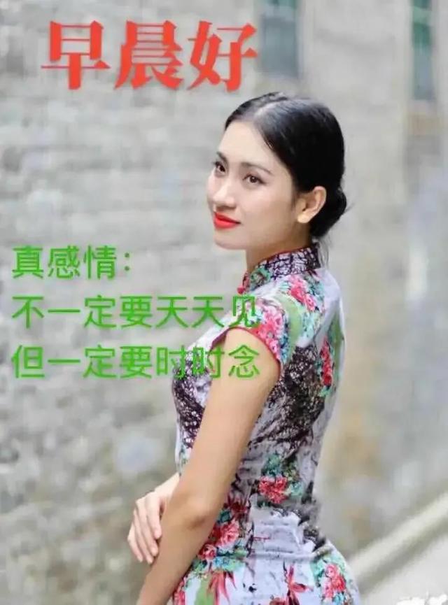 相遇红尘，浅夏花开