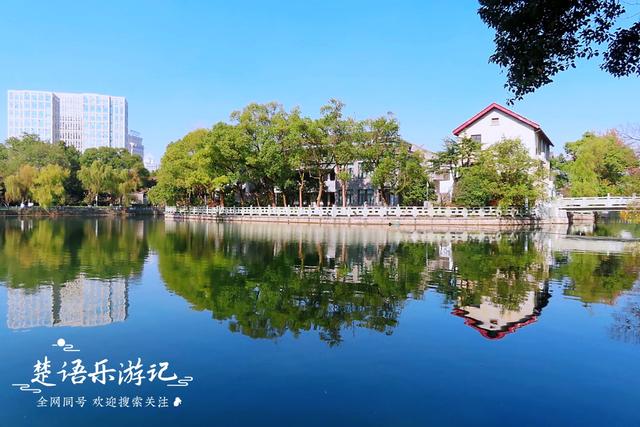 身爲5A景區卻堅持免費，秋色斑斓到處如畫，甯波這個景點讓人驚豔