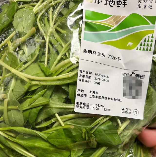 一个普通上海人的囤菜经历