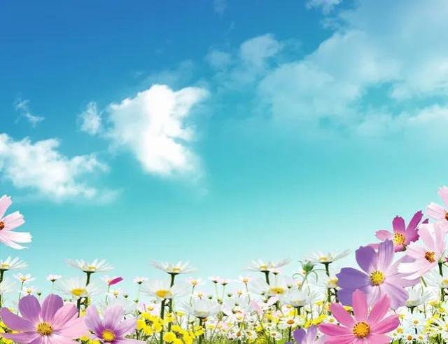 鲜花争艳，美景如画，令人心旷神怡
